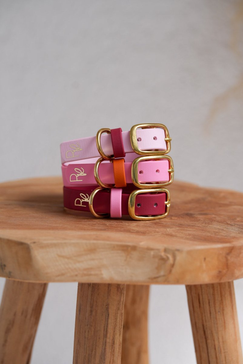 Halsband aus Biothane | COLOUR MIX | ALL COLLECTIONS - RudisRudel