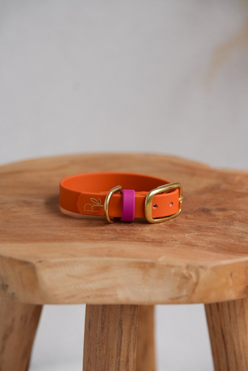 Halsband aus Biothane | COLOUR MIX | ALL COLLECTIONS - RudisRudel