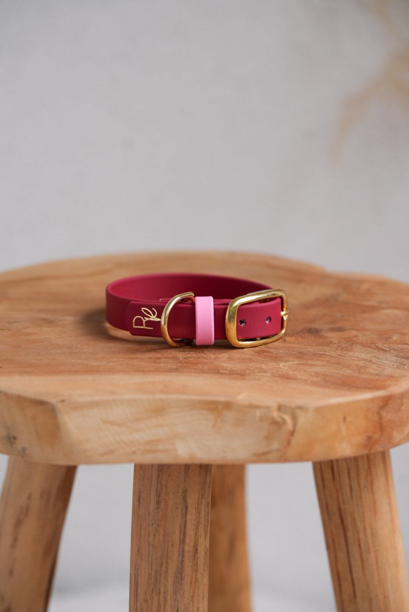 Halsband aus Biothane | COLOUR MIX | ALL COLLECTIONS - RudisRudel