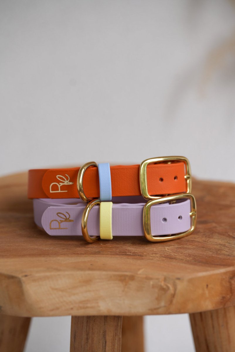 Halsband aus Biothane | COLOUR MIX | ALL COLLECTIONS - RudisRudel