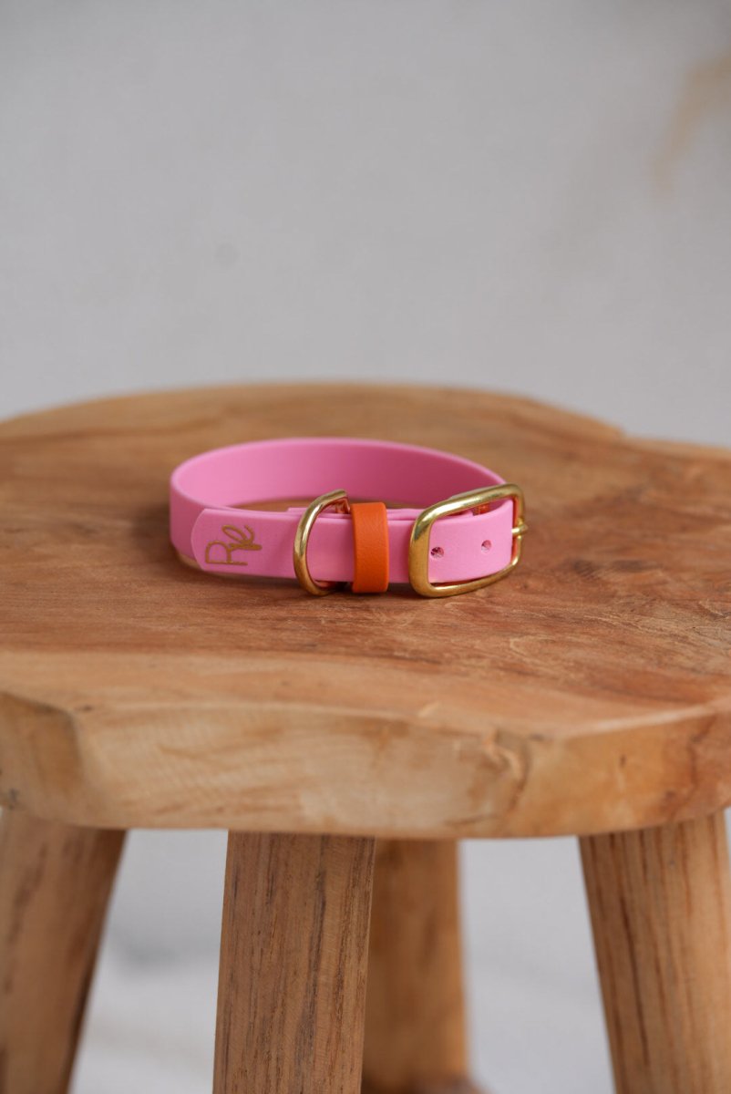 Halsband aus Biothane | COLOUR MIX | ALL COLLECTIONS - RudisRudel