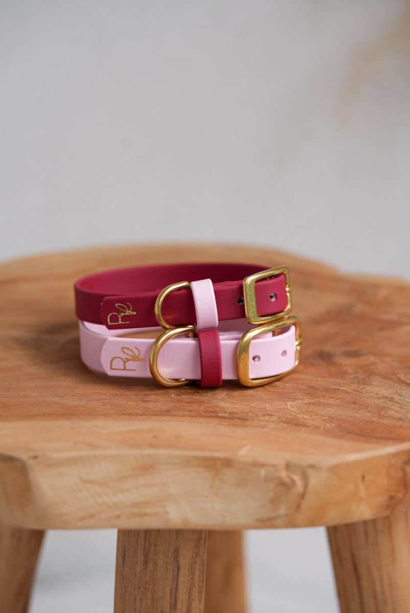 Halsband aus Biothane | COLOUR MIX | ALL COLLECTIONS - RudisRudel