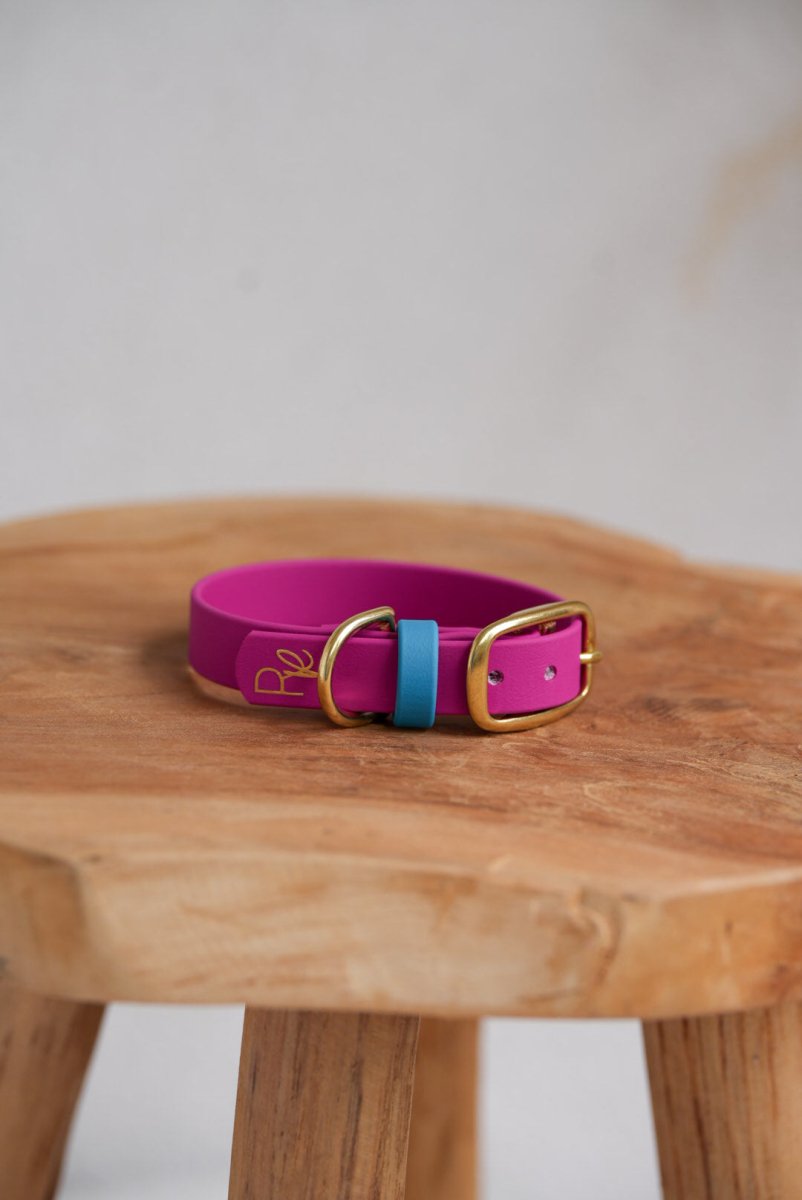 Halsband aus Biothane | COLOUR MIX | ALL COLLECTIONS - RudisRudel