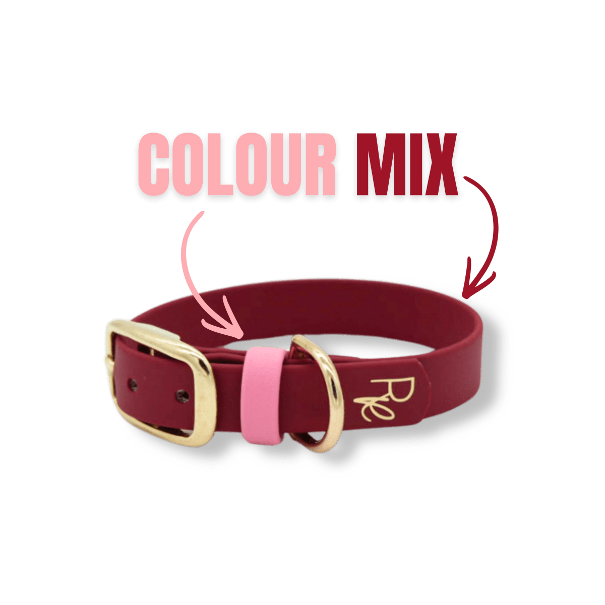 Halsband aus Biothane | COLOUR MIX | ALL COLLECTIONS - RudisRudel