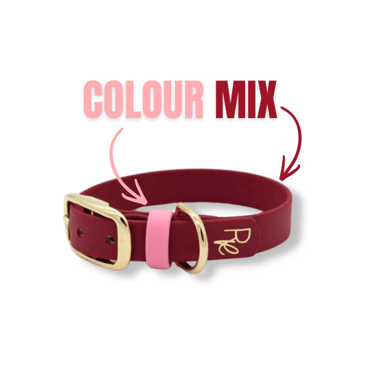 Halsband aus Biothane | COLOUR MIX | ALL COLLECTIONS - RudisRudel