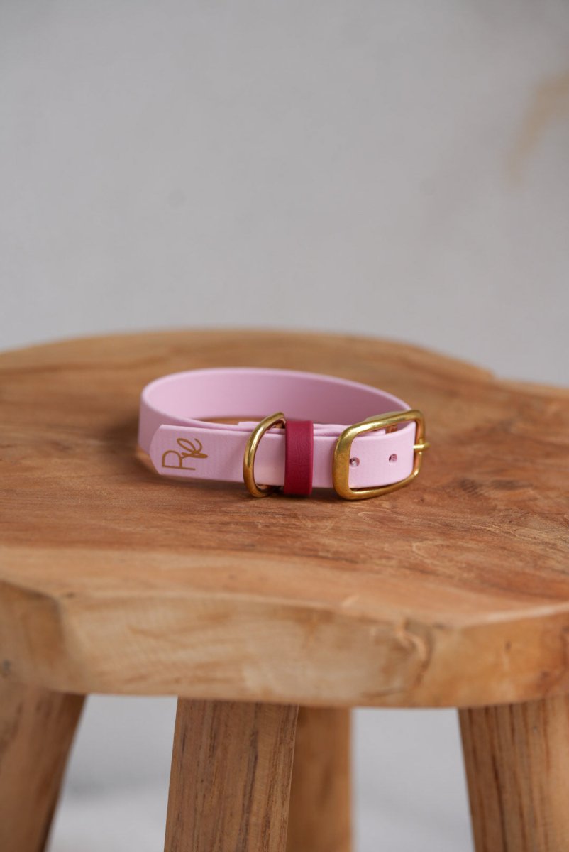 Halsband aus Biothane | COLOUR MIX | ALL COLLECTIONS - RudisRudel