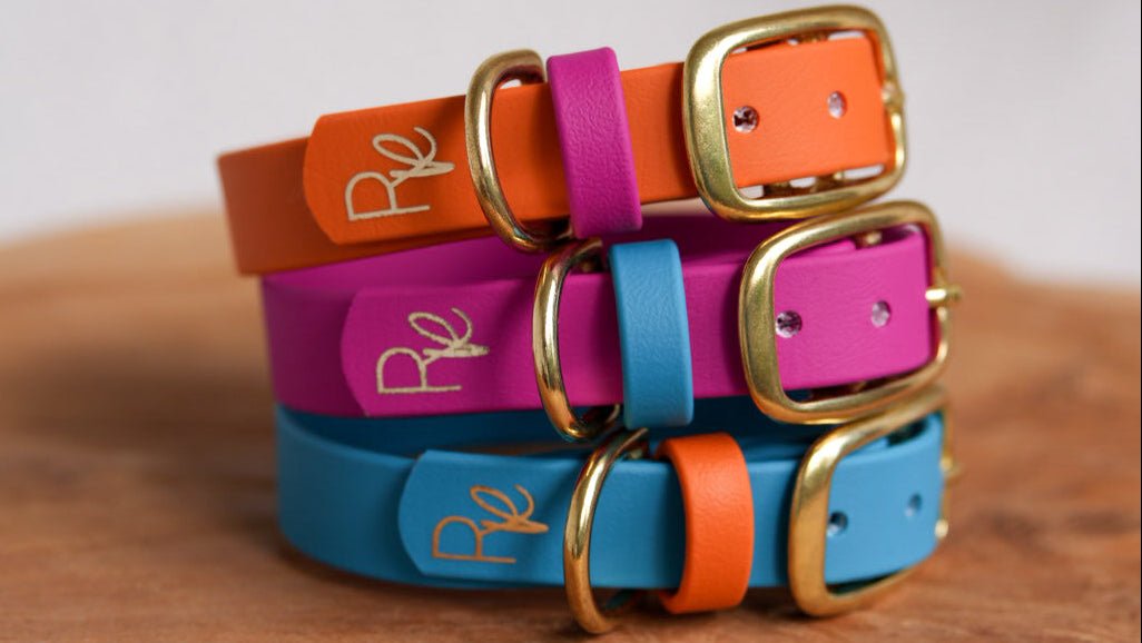 Halsband aus Biothane | COLOUR MIX | ALL COLLECTIONS - RudisRudel