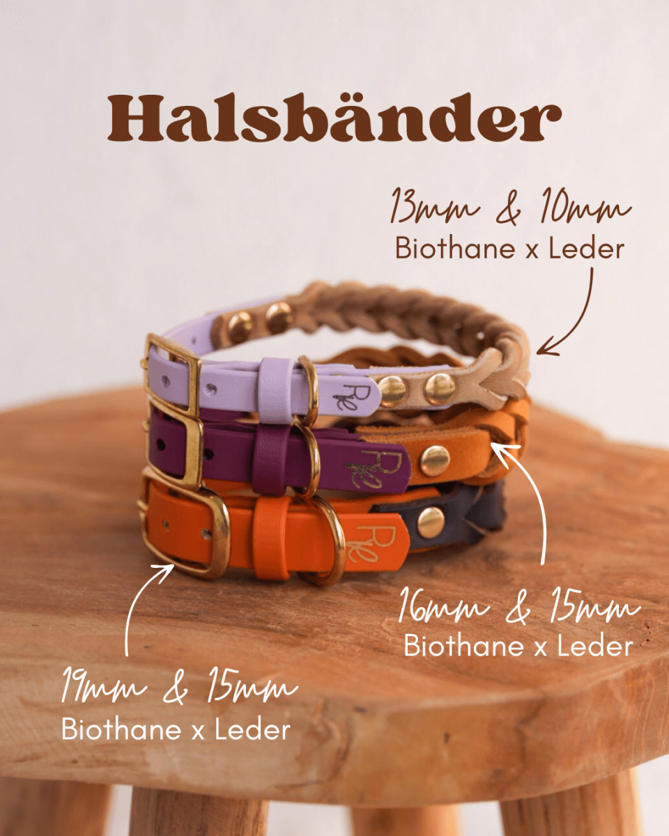 Halsband aus Biothane & Fettleder | MATERIAL MIX | ALL COLLECTIONS - RudisRudel