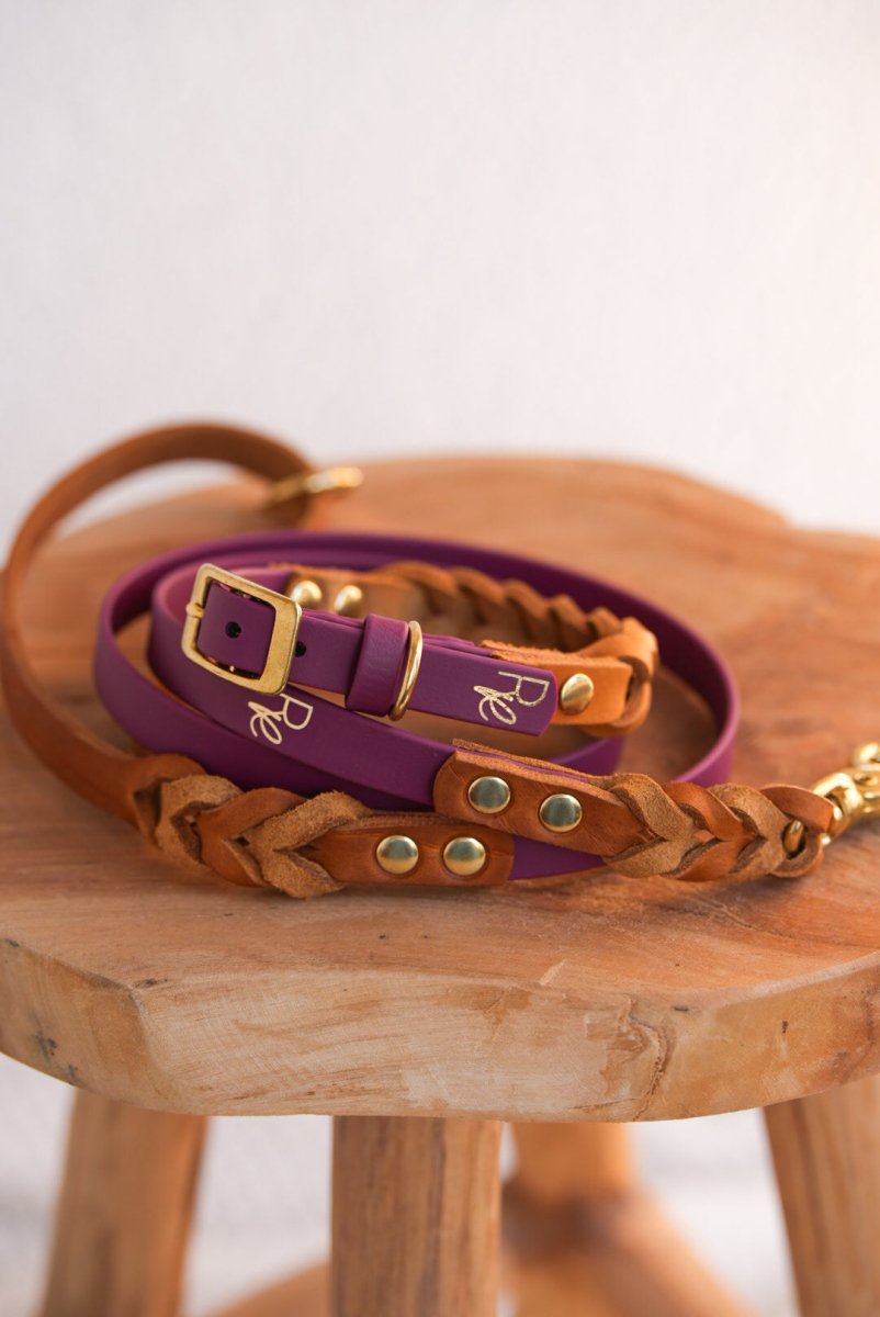 Halsband aus Biothane & Fettleder | MATERIAL MIX | ALL COLLECTIONS - RudisRudel