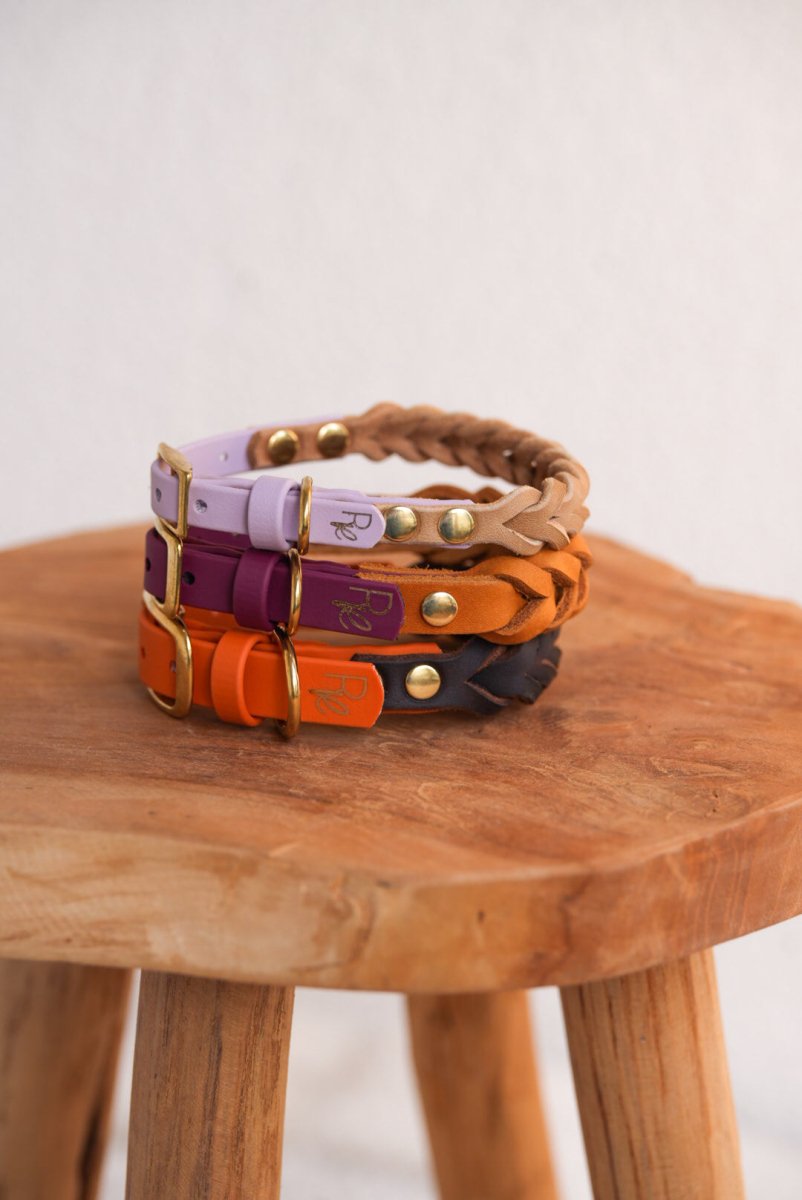 Halsband aus Biothane & Fettleder | MATERIAL MIX | ALL COLLECTIONS - RudisRudel