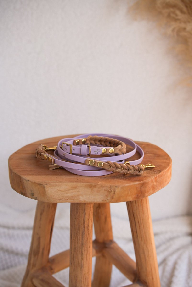 Halsband aus Biothane & Fettleder | MATERIAL MIX | ALL COLLECTIONS - RudisRudel