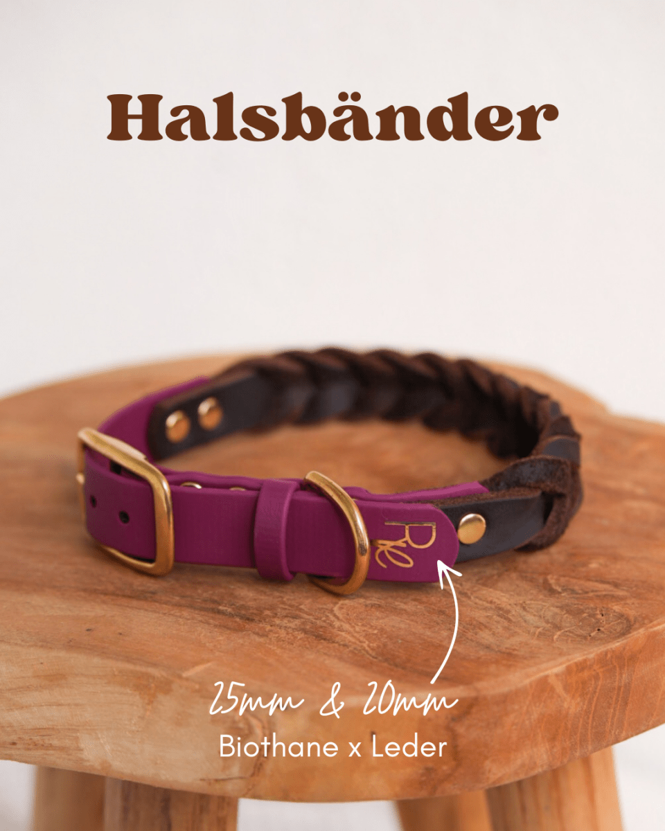 Halsband aus Biothane & Fettleder | MATERIAL MIX | ALL COLLECTIONS - RudisRudel