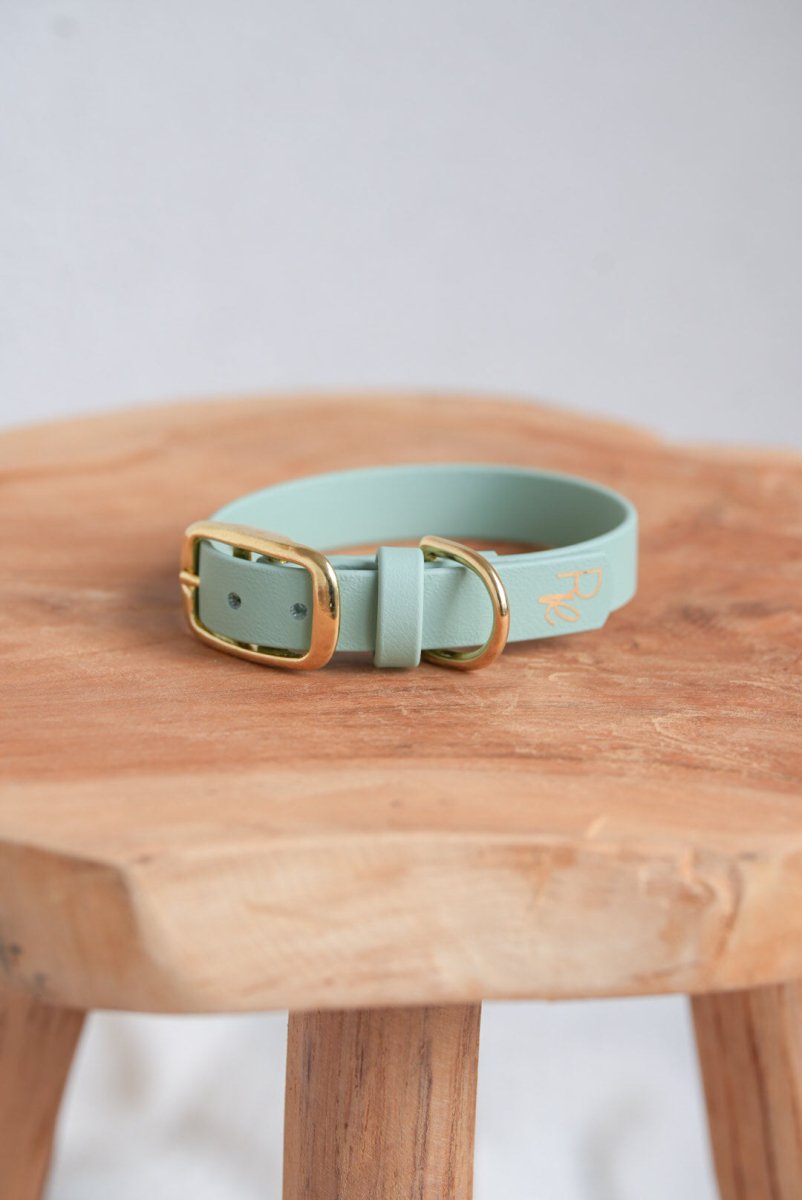 Halsband aus Biothane | PASTEL DREAMS - RudisRudel