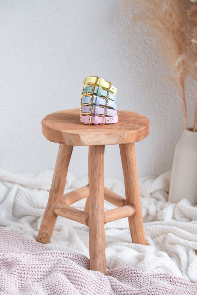 Halsband aus Biothane | PASTEL DREAMS - RudisRudel