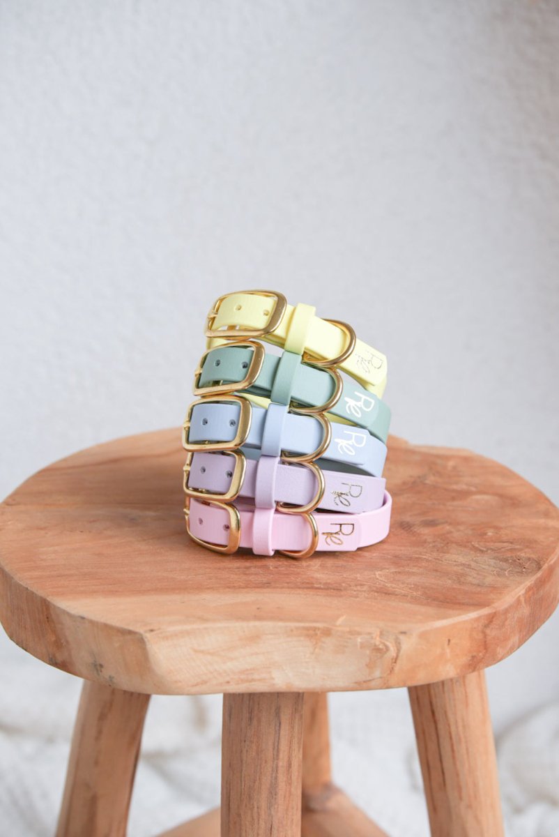 Halsband aus Biothane | PASTEL DREAMS - RudisRudel