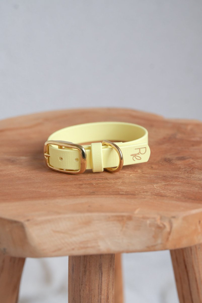 Halsband aus Biothane | PASTEL DREAMS - RudisRudel