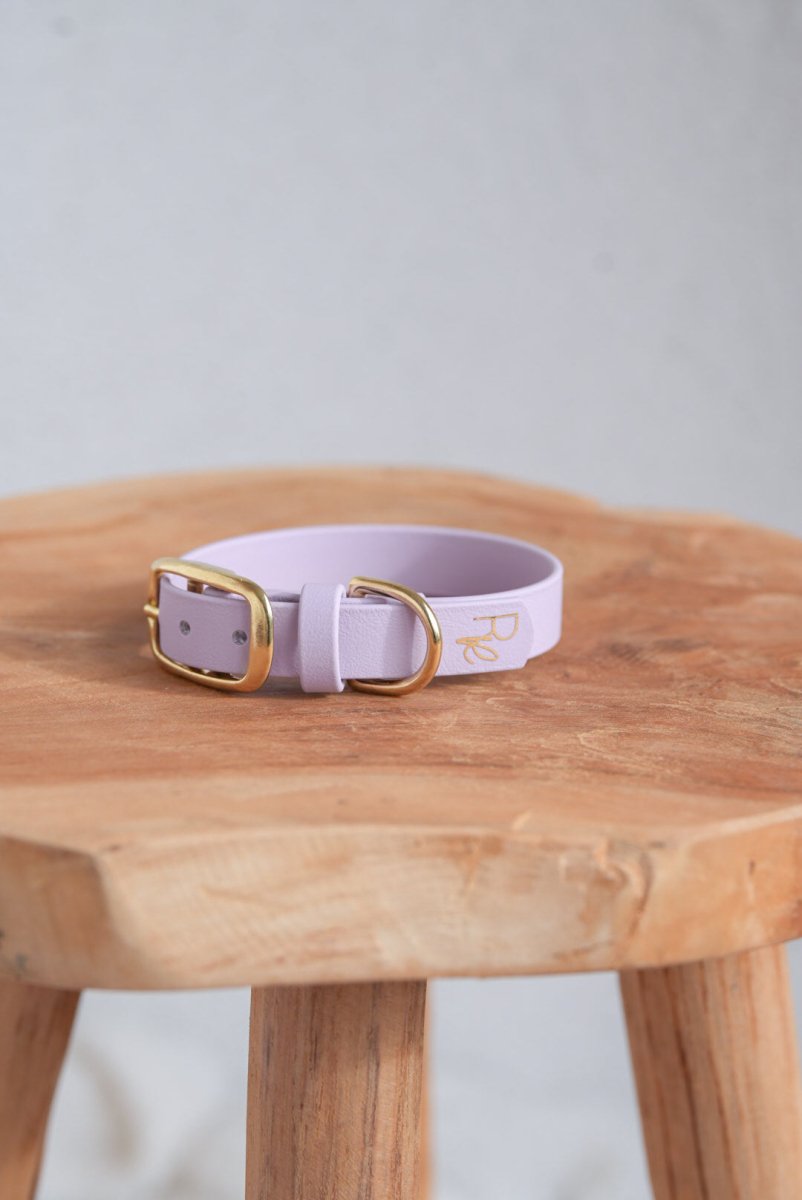 Halsband aus Biothane | PASTEL DREAMS - RudisRudel