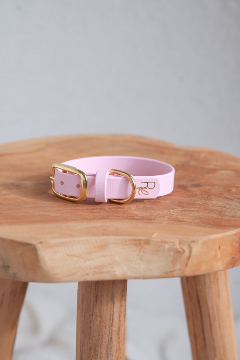 Halsband aus Biothane | PASTEL DREAMS - RudisRudel
