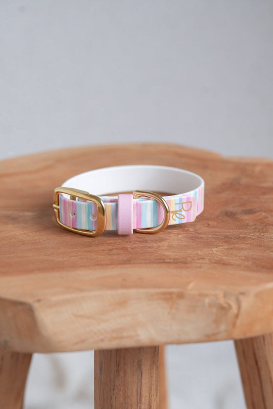 Halsband aus Biothane | PASTEL DREAMS | SPECIAL EDITION - RudisRudel