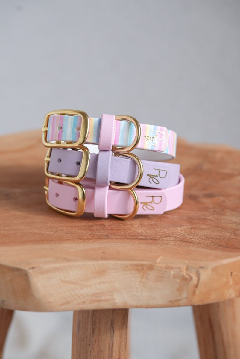 Halsband aus Biothane | PASTEL DREAMS | SPECIAL EDITION - RudisRudel