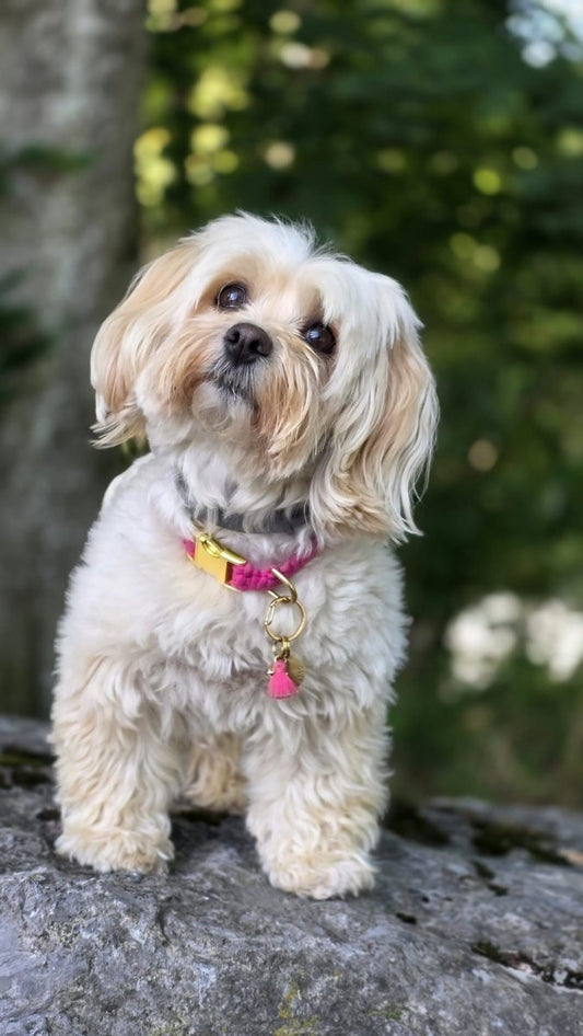 Halsband aus Makramee | COLOUR CLASH - RudisRudel