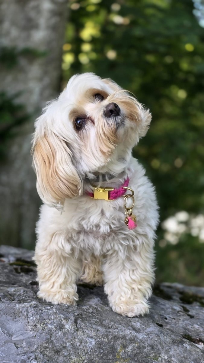 Halsband aus Makramee | COLOUR CLASH - RudisRudel