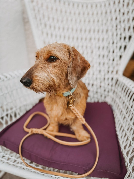 Halsband aus Makramee | PASTEL DREAMS - RudisRudel