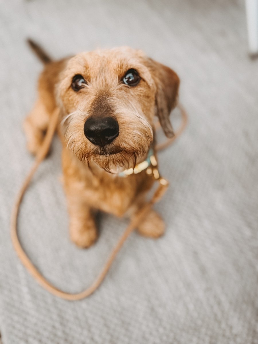 Halsband aus Makramee | PASTEL DREAMS - RudisRudel