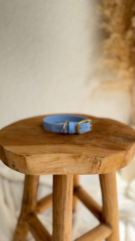 Halsband Biothane 19mm BABY BLAU HU 29/ NOCH BESTIMMBAR - RudisRudel