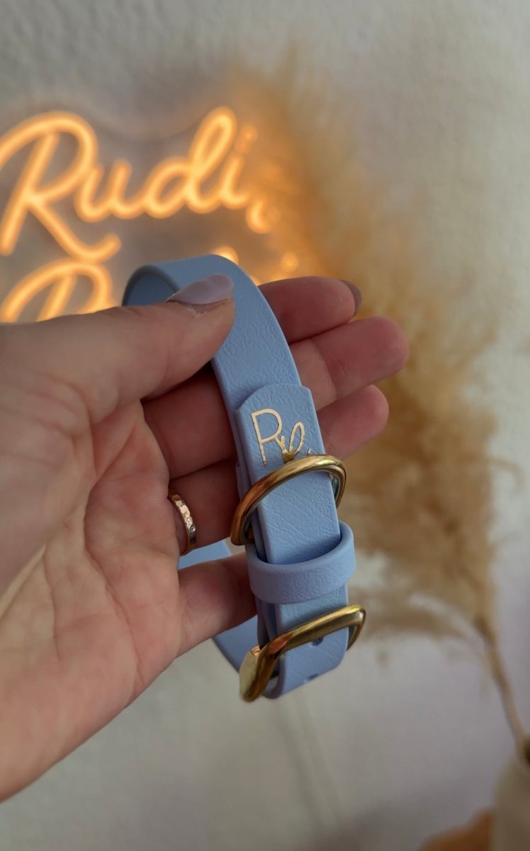 Halsband Biothane 19mm BABY BLAU HU 29/ NOCH BESTIMMBAR - RudisRudel