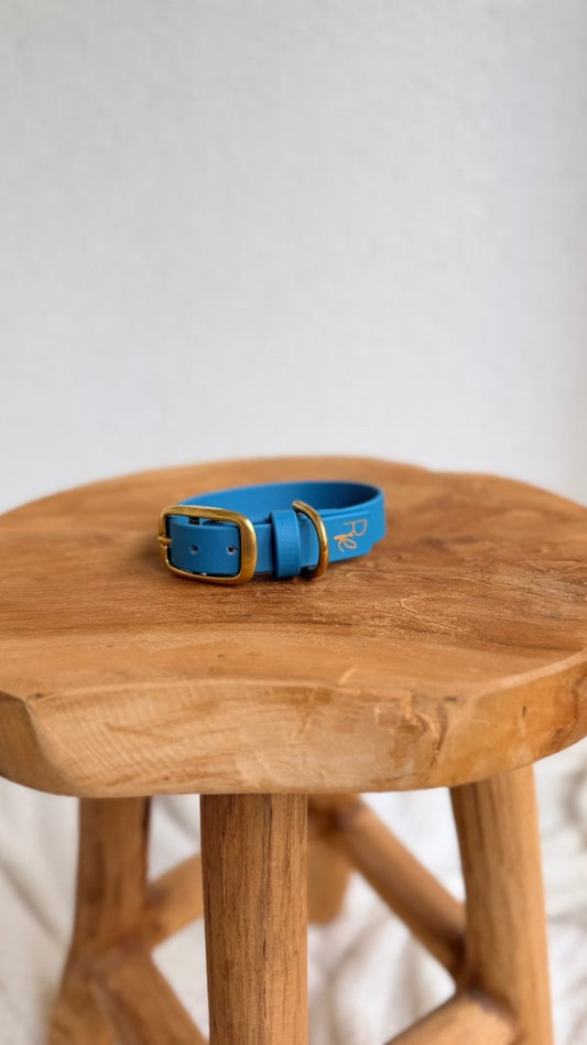 Halsband Biothane 19mm CARIBBEAN BLUE HU 26 | COLOUR CLASH COLLECTION - RudisRudel