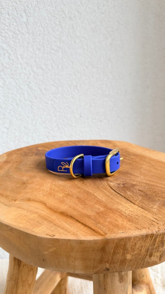 Halsband Biothane 19mm ELECTRIC BLAU HU 25 - RudisRudel