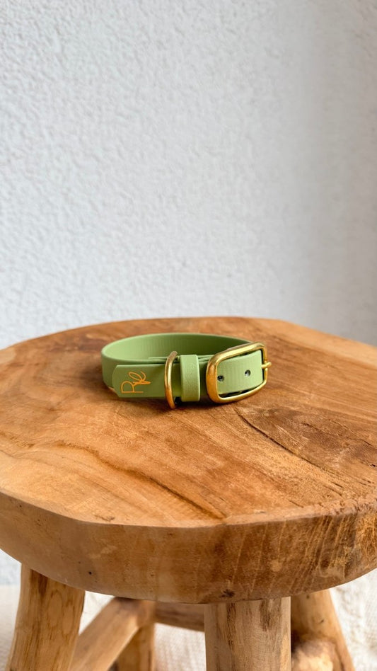 Halsband Biothane 19mm GUACAMOLE HU 25 - RudisRudel