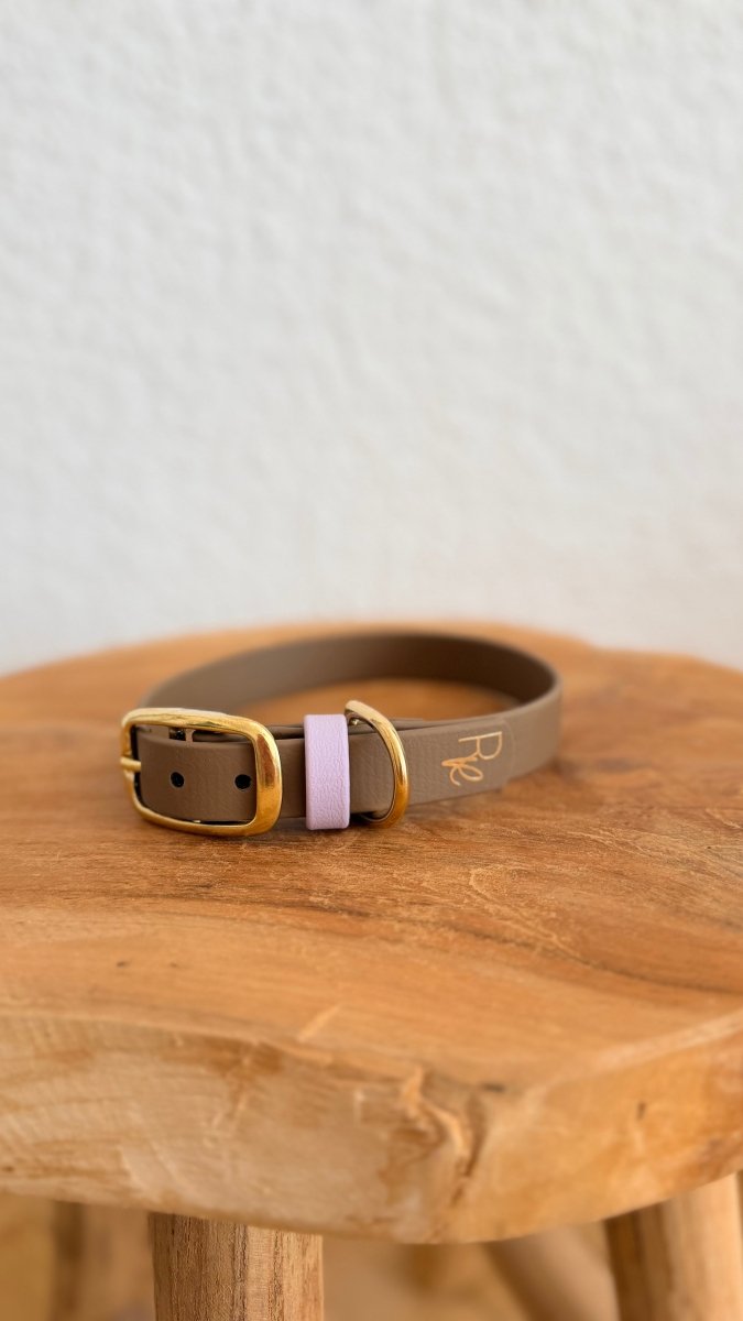 Halsband Biothane 19mm HELLES KHAKI HU 34 SONDERFARBE - RudisRudel
