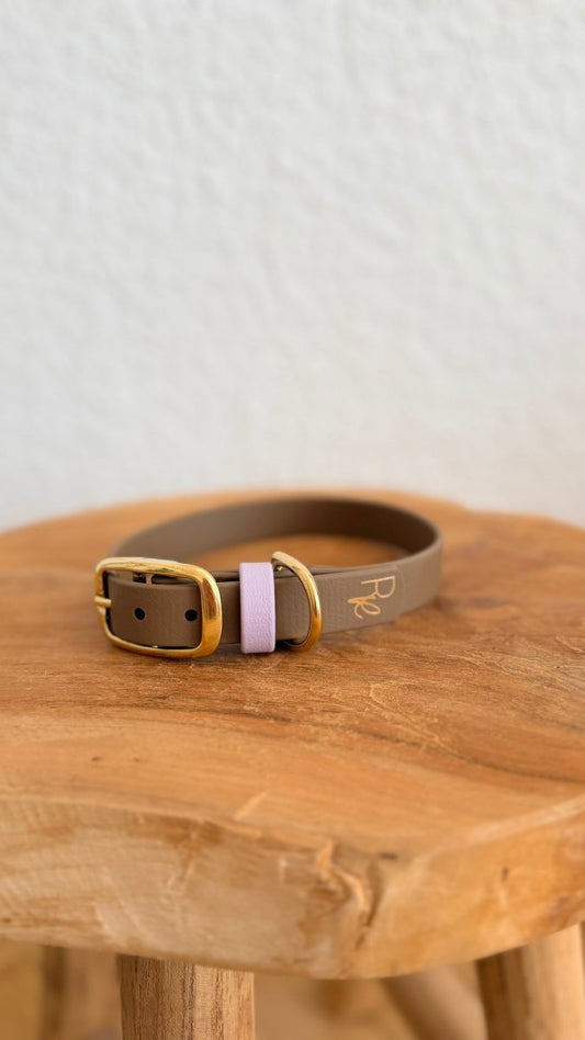 Halsband Biothane 19mm HELLES KHAKI HU 34 SONDERFARBE - RudisRudel
