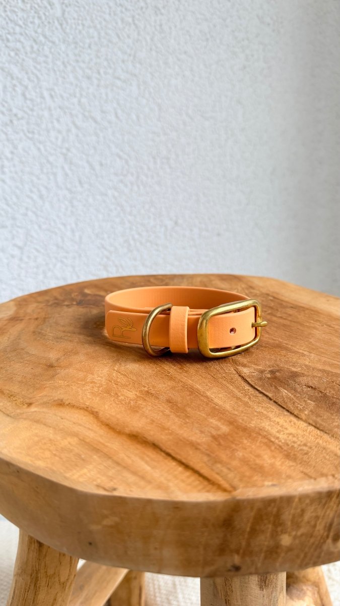 Halsband Biothane 19mm KUPFER HU 25 - RudisRudel