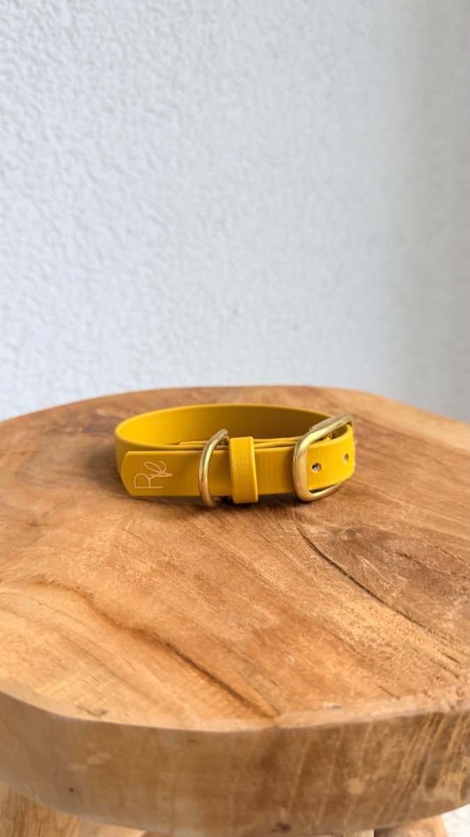 Halsband Biothane 19mm OCKERGELB HU 25 - RudisRudel