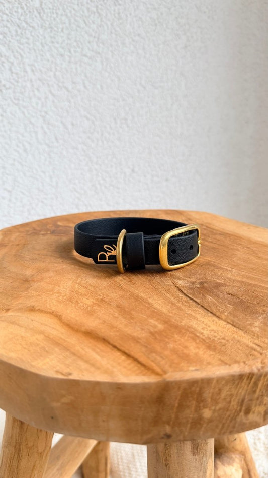 Halsband Biothane 19mm SCHWARZ HU 25 - RudisRudel