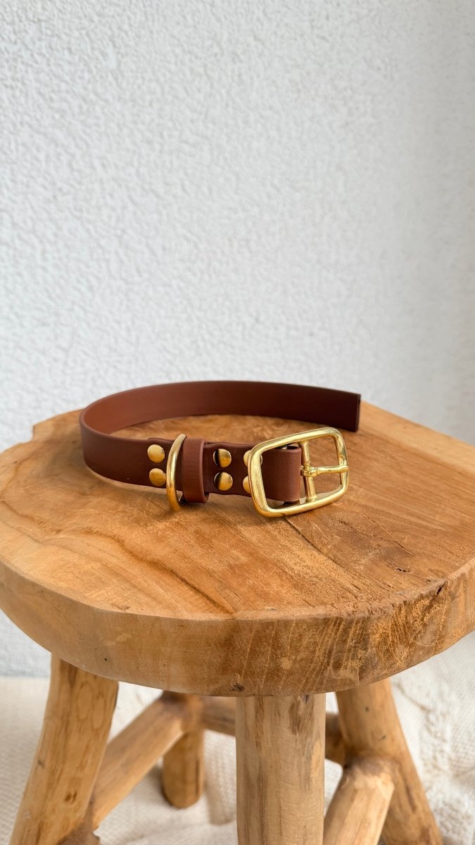 Halsband Biothane 25mm BRAUN HU NOCH BESTIMMBAR BIS CA 25cm - RudisRudel