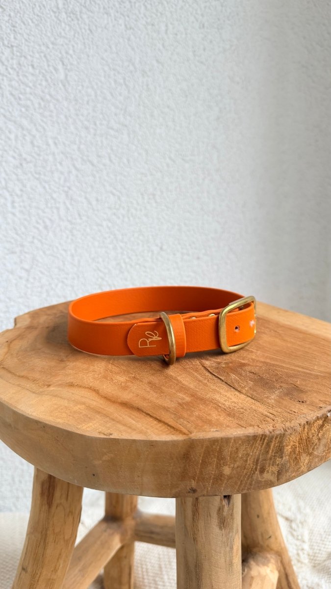 Halsband Biothane 25mm ORANGE HU 40 - RudisRudel