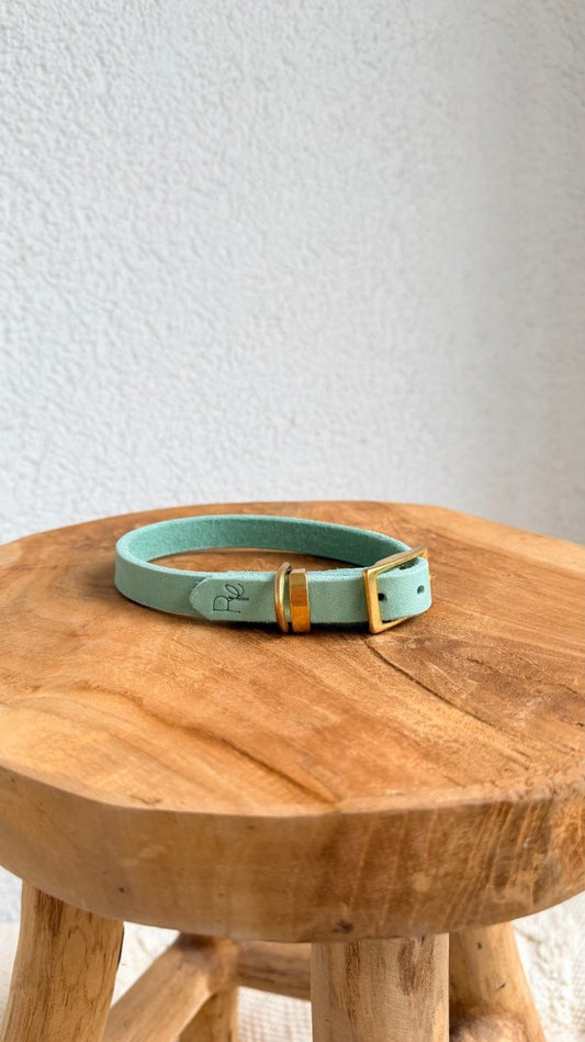 Halsband Fettleder 15mm PASTELLGRÜN HU 24 - RudisRudel