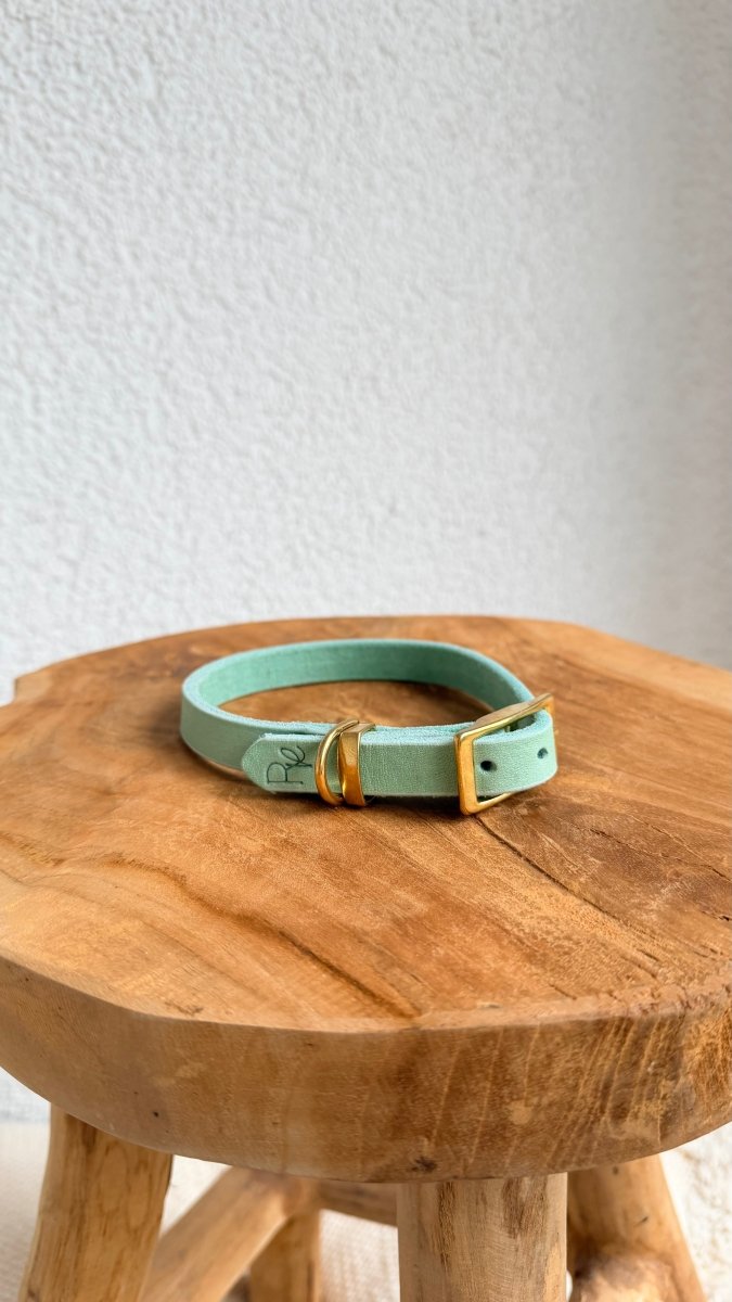 Halsband Fettleder 15mm PASTELLGRÜN HU 31 - RudisRudel
