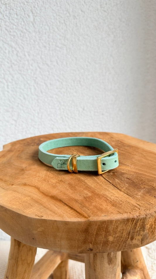 Halsband Fettleder 15mm PASTELLGRÜN HU 31 - RudisRudel
