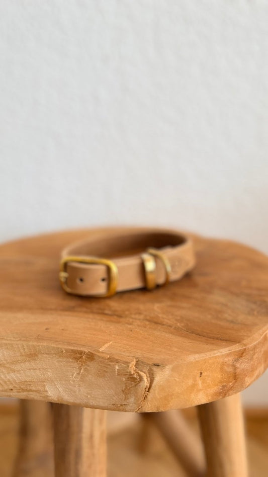 Halsband Fettleder 20mm BEIGE HU 31 - RudisRudel