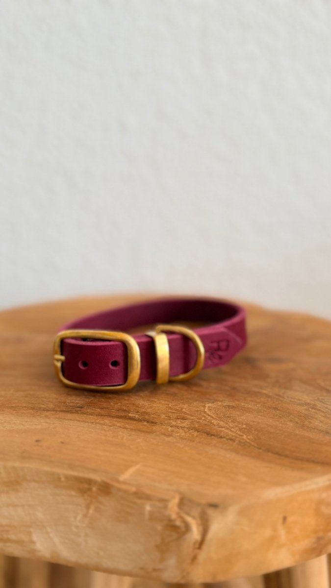 Halsband Fettleder 20mm BURGUNDY HU 31 - RudisRudel