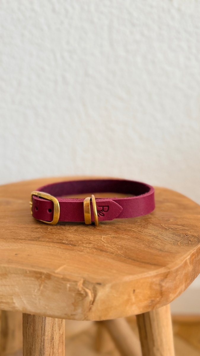 Halsband Fettleder 20mm BURGUNDY HU 35 - RudisRudel
