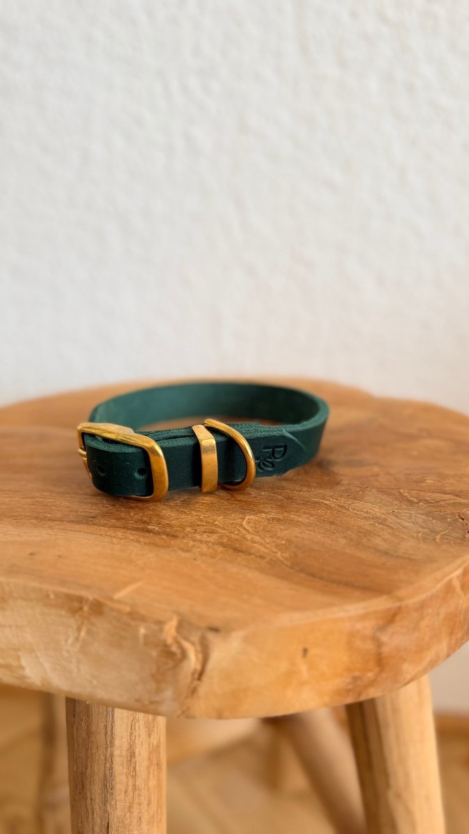 Halsband Fettleder 20mm DUNKELGRÜN HU 32 - RudisRudel