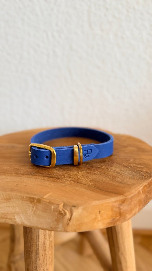 Halsband Fettleder 20mm ELECTRIC BLAU HU 37 - RudisRudel
