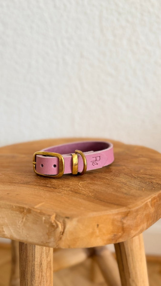 Halsband Fettleder 20mm FLIEDER HU 28 - RudisRudel