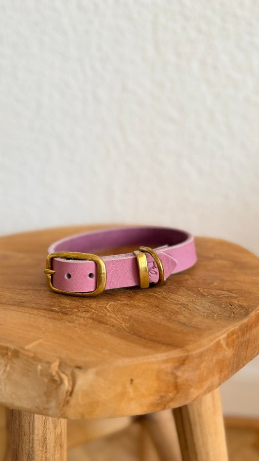 Halsband Fettleder 20mm FLIEDER HU 32 - RudisRudel